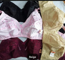 Pack Of 3 | Chicken Cotton Bra | 3 Different Colours