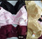 Pack Of 3 | Chicken Cotton Bra | 3 Different Colours