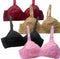 Pack Of 3 | Chicken Cotton Bra | 3 Different Colours