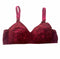 Pack Of 3 | Chicken Cotton Bra | 3 Different Colours