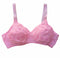 Pack Of 3 | Chicken Cotton Bra | 3 Different Colours